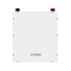 Dyness 5.12kWh 100Ah LiFePo4 Lithium Ion Battery